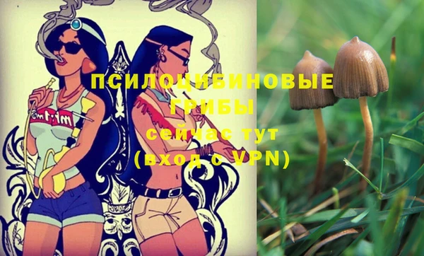 альфа пвп Сосновка
