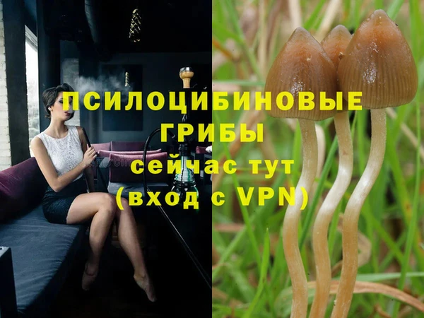 твердый Балабаново