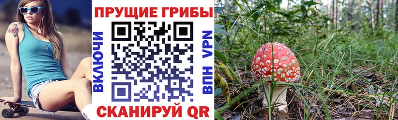 сколько стоит  Бирюч  Галлюциногенные грибы Magic Shrooms 