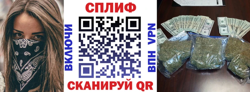 где найти наркотики  Бирюч  Бошки марихуана конопля 